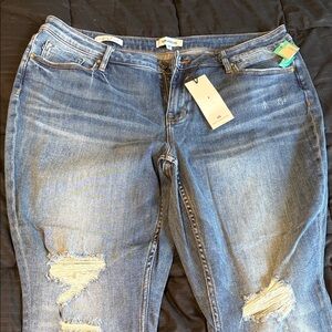 Vigoss StitchFix Blue Distressed Skinny Jeans